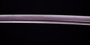 Antique Japanese Katana Sword with a Rare Green Koshirae, Edo Period