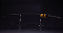 Antique Japanese Katana Sword signed Ichiryushi Nagamitsu (Hozon)