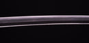 Antique Japanese Katana Sword signed Ichiryushi Nagamitsu (Hozon)