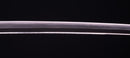 Antique Japanese Katana Sword signed Ichiryushi Nagamitsu (Hozon)