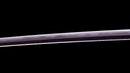 Antique Japanese Katana Sword signed Hitachi no Kami Muneshige, NBTHK Hozon