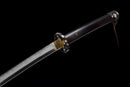 Shujin Katana 主人