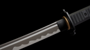 Phantom Shinobi Tactical Sword (Limited)
