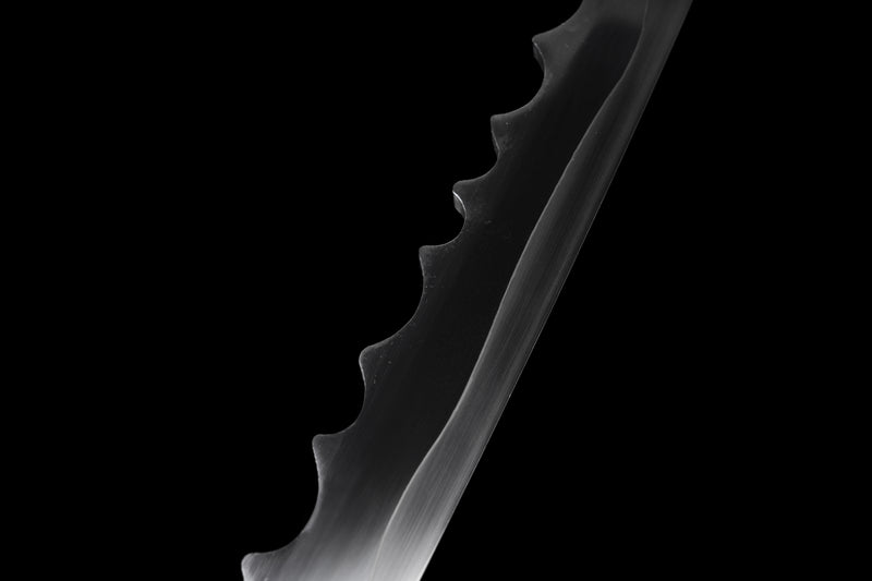 Bloodshade Katana - Assassin's Creed Shadow
