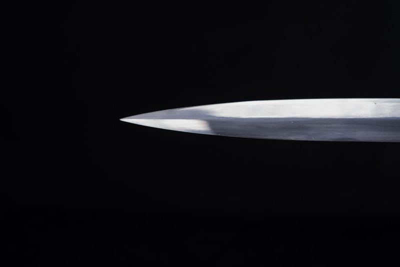 Azure Lion Longsword