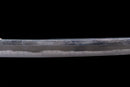 Antique Japanese Sword Wakizashi by Shinano no Kami Fujiwara Daidō - Tokubetsu Hozon Token