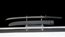 Phantom Tachi Long Tactical Sword — high-carbon steel, Black textured handle, black molded sheath, modular holes, belt clip