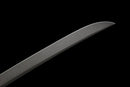 Phantom Tachi Long Tactical Sword — high-carbon steel, Black textured handle, black molded sheath, modular holes, belt clip