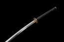 Dragon Odachi Sword 龍