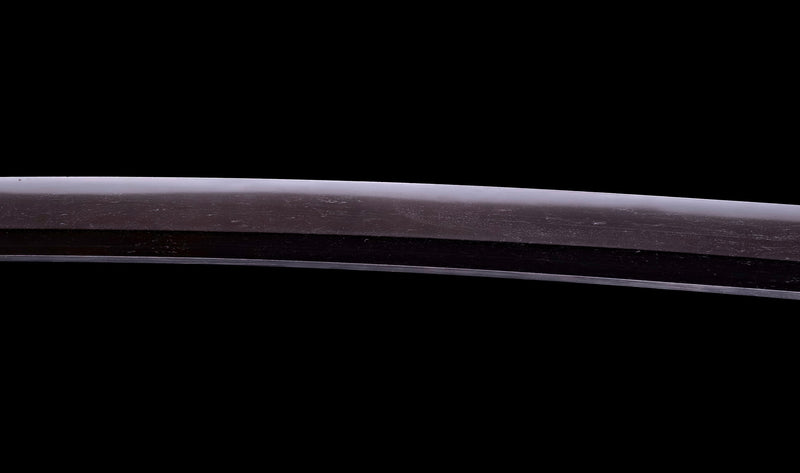 Antique Japanese Katana Sword Ryokai Shigeyoshi - Hozon