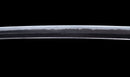 Antique Japanese Katana Sword with Tombo Dragonfly Menuki & Sansui Landscape Tsuba