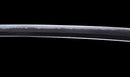 Antique Japanese Katana Sword with Tombo Dragonfly Menuki & Sansui Landscape Tsuba