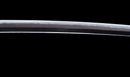 Antique Japanese Katana Sword with Tombo Dragonfly Menuki & Sansui Landscape Tsuba