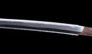 Antique Japanese Katana Sword signed Kojima Katsumasa with Iron Landscape Tsuba
