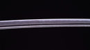 Antique Japanese Sword Katana from Taira Takada (Hozon)