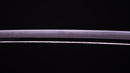 Antique Japanese Sword Katana by Jumyo (Hozon)