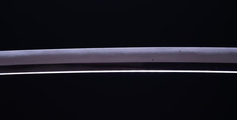 Antique Japanese Katana Sword by Kashu Katsuie (Hozon)