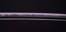Antique Japanese Katana Sword by Sue Bizen (Hozon)