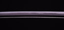 Antique Japanese Katana Sword by Sue Bizen (Hozon)