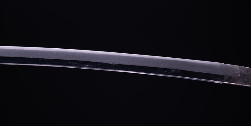 Antique Japanese Katana Sword with Sea Inspired Koshirae