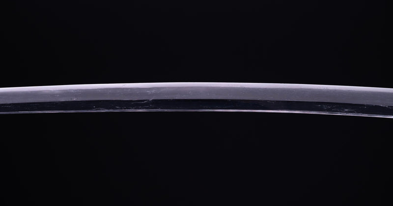 Antique Japanese Katana Sword with Sea Inspired Koshirae