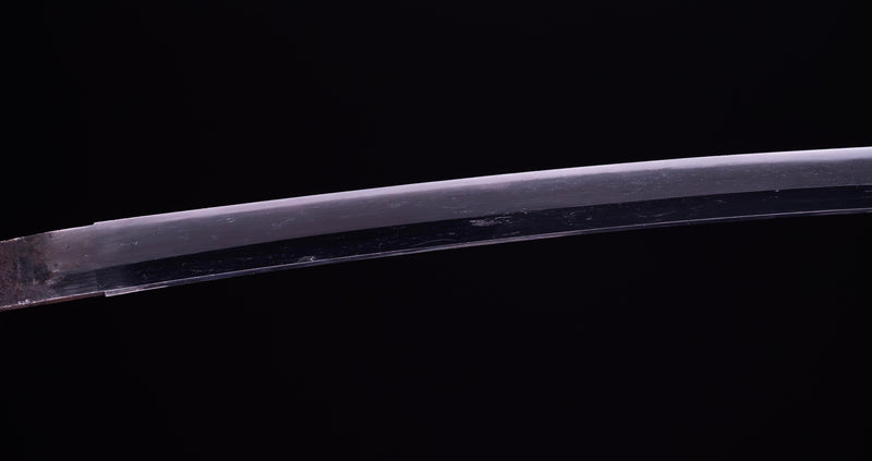 Antique Japanese Katana Sword with Sea Inspired Koshirae