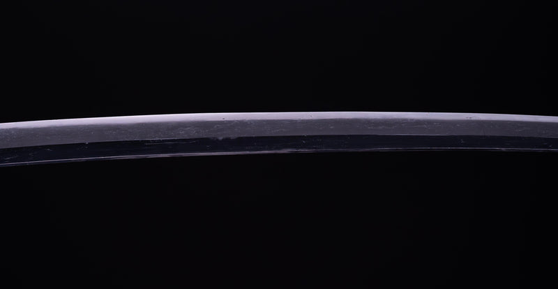 Antique Japanese Katana Sword with Sea Inspired Koshirae