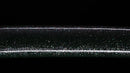 Antique Japanese Katana Sword signed Seki-ju Kaneyoshi with Beautiful Green Saya.