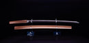 Antique Japanese Katana Sword signed Hitachi no Kami Muneshige, NBTHK Hozon